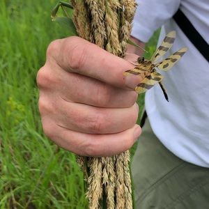 Meet your Posher, Crystal